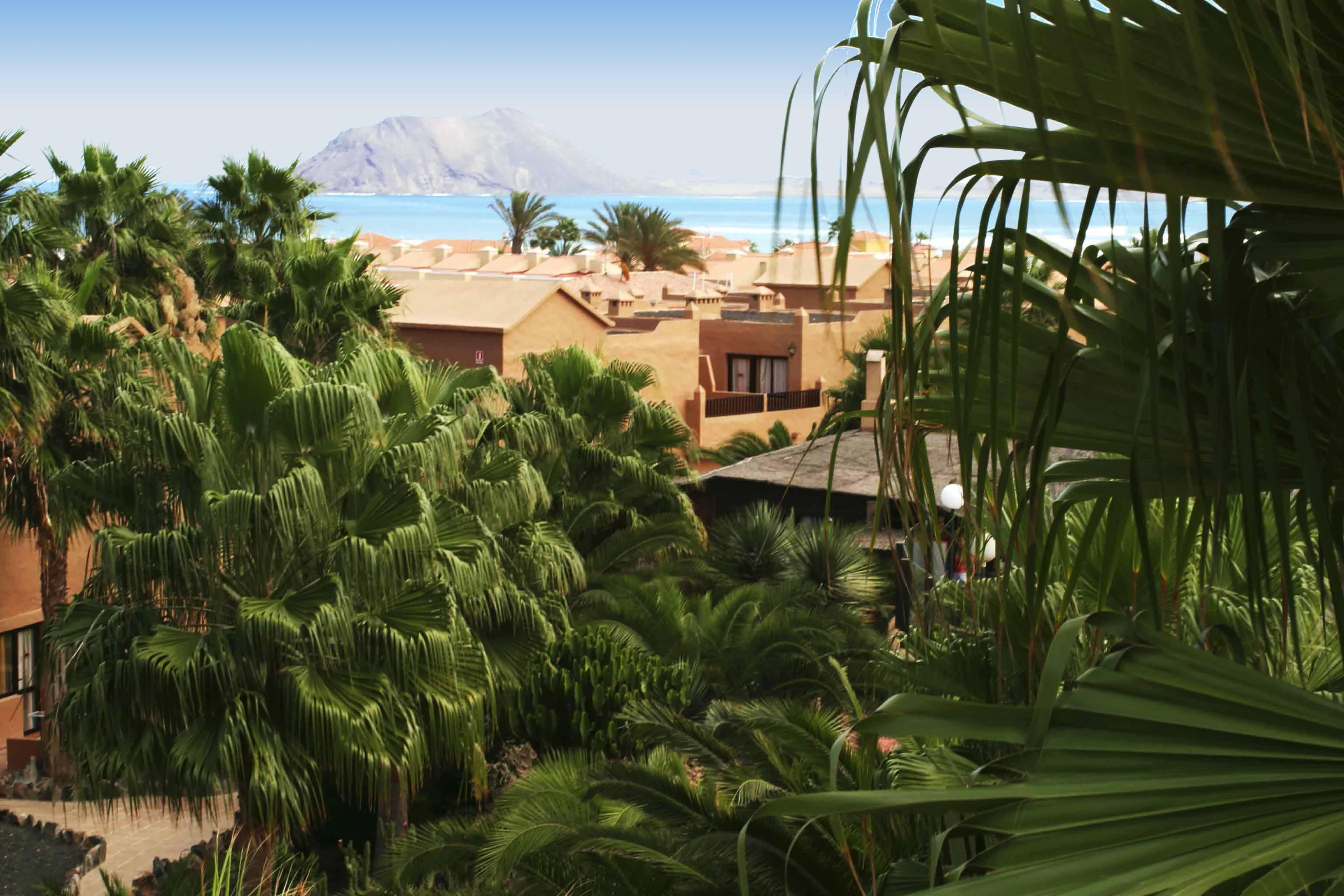 Apartamento Oasis Dunas Κοραλέχο Εξωτερικό φωτογραφία